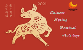 Holidays Notice of Chinese Lunar Year